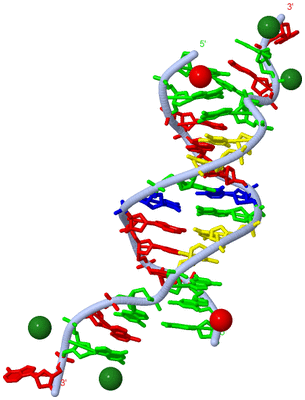 Image Biol. Unit 1 - sites