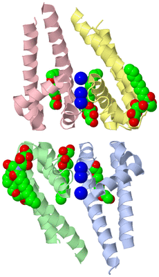 Image Asym./Biol. Unit