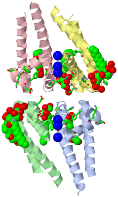 Image Asym./Biol. Unit - sites