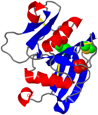 Image Asym./Biol. Unit