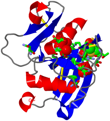 Image Asym./Biol. Unit - sites