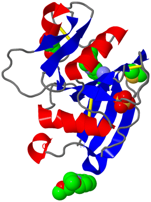 Image Asym./Biol. Unit