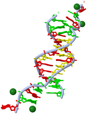 Image Biological Unit 1