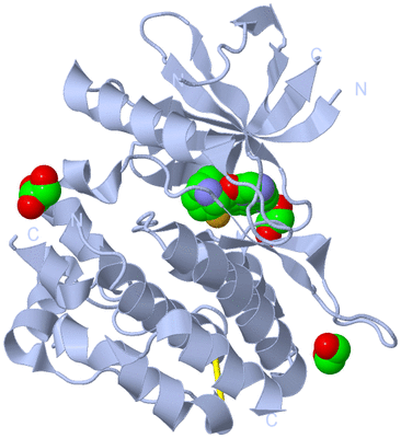 Image Biological Unit 1