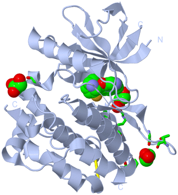 Image Biol. Unit 1 - sites