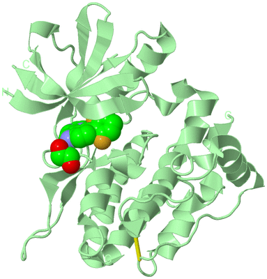 Image Biological Unit 2