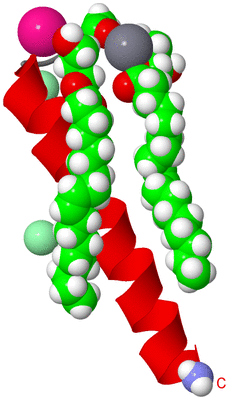 Image Asymmetric Unit