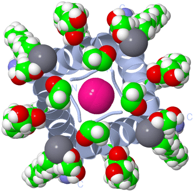 Image Biological Unit 1