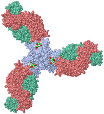 Image Biol. Unit 1 - sites