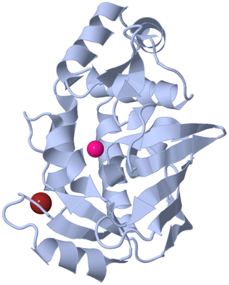 Image Biological Unit 1