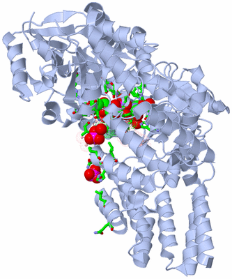 Image Asym./Biol. Unit - sites