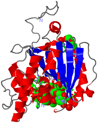 Image Asym. Unit - sites