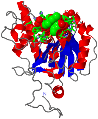 Image Asym. Unit - sites