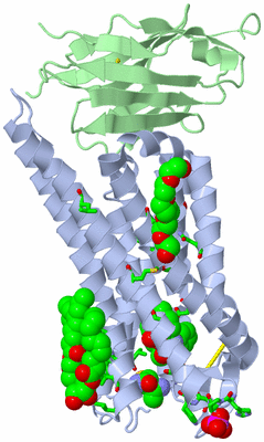 Image Asym./Biol. Unit - sites