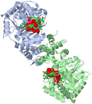 Image Asym./Biol. Unit - sites