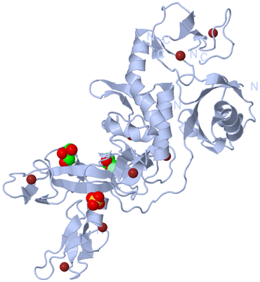 Image Biological Unit 1