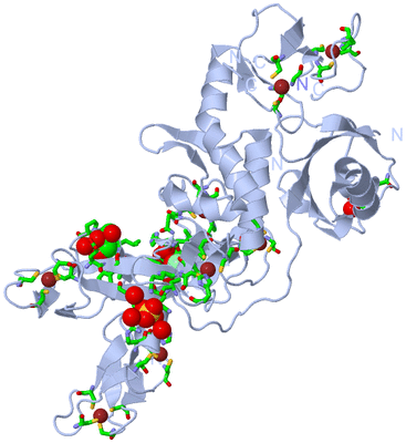 Image Biol. Unit 1 - sites