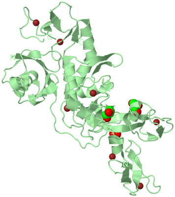 Image Biological Unit 2