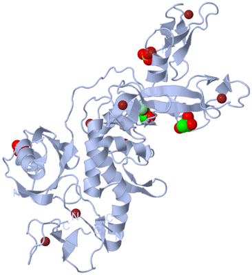 Image Biological Unit 1