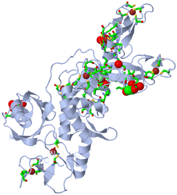 Image Biol. Unit 1 - sites