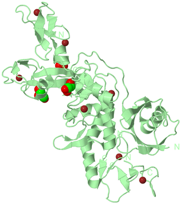 Image Biological Unit 2