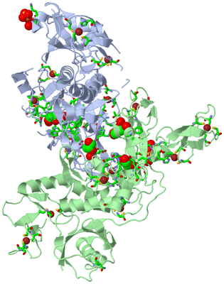 Image Asym. Unit - sites