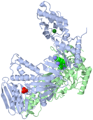 Image Asym./Biol. Unit