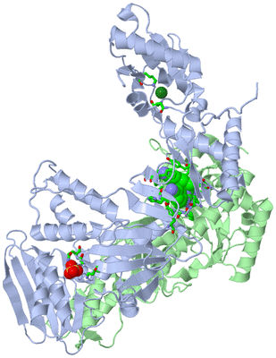 Image Asym./Biol. Unit - sites