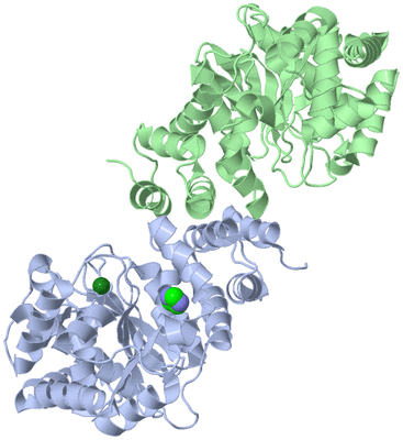 Image Asym./Biol. Unit