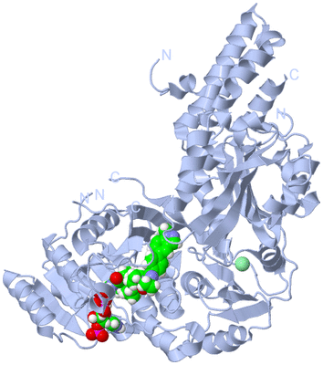 Image Biological Unit 1