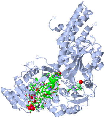 Image Biol. Unit 1 - sites