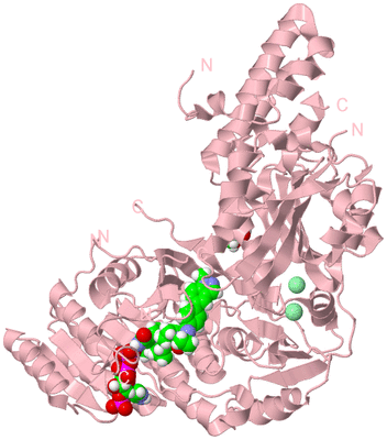 Image Biological Unit 2