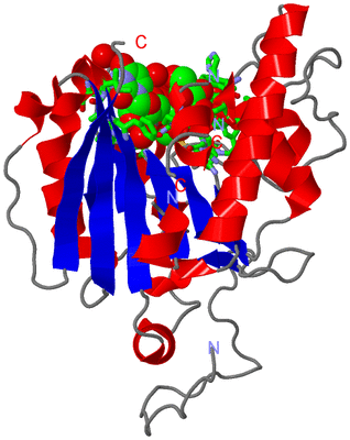 Image Asym. Unit - sites