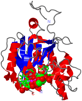 Image Asym. Unit - sites