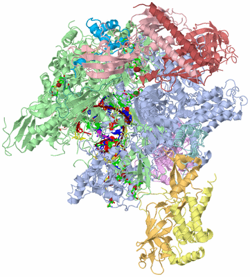 Image Asym./Biol. Unit - sites