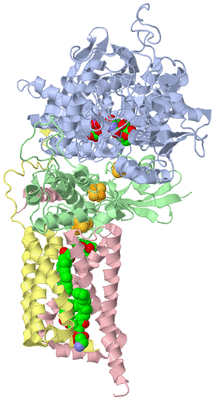 Image Biological Unit 1