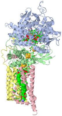 Image Biol. Unit 1 - sites