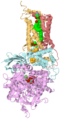 Image Biological Unit 2