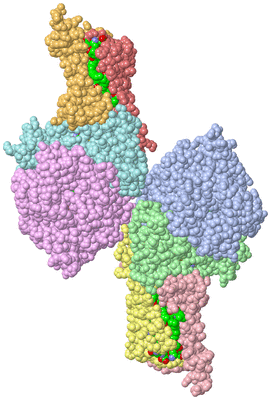 Image Asym. Unit - sites