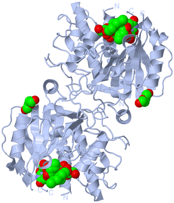 Image Biological Unit 1