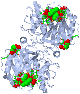 Image Biol. Unit 1 - sites