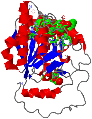 Image Asym. Unit - sites