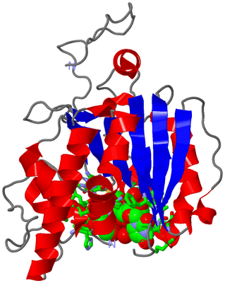 Image Asym. Unit - sites