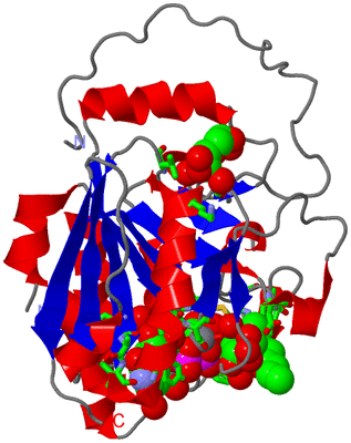 Image Asym. Unit - sites