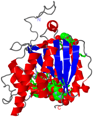 Image Asym. Unit - sites