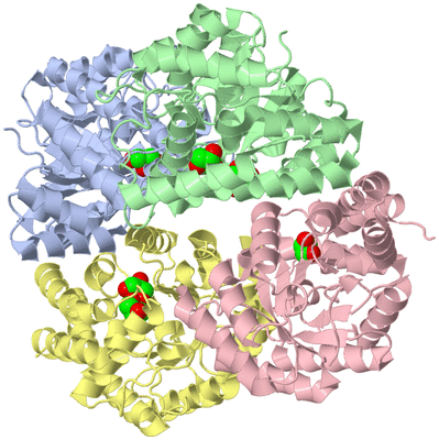 Image Biological Unit 1