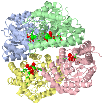 Image Biol. Unit 1 - sites