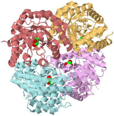 Image Biological Unit 2