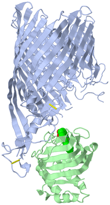 Image Asym./Biol. Unit