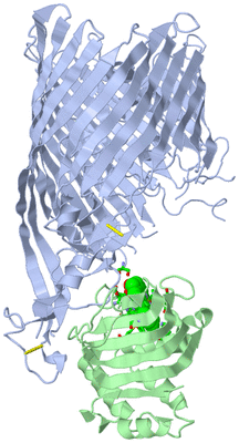 Image Asym./Biol. Unit - sites